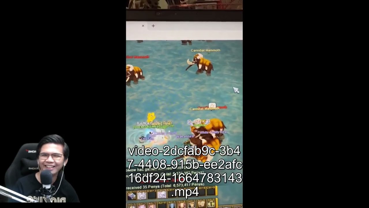 ALMOST 200K DAMAGE AT FLYFF UNIVERSE!