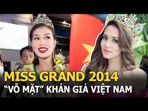 Video: 10 giống mèo thích chơi với chó