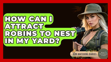 How Can I Attract Robins To Nest In My Yard? - Bird Watching Diaries