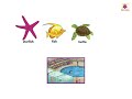 Water Animals | Now You Know Book A 🐠