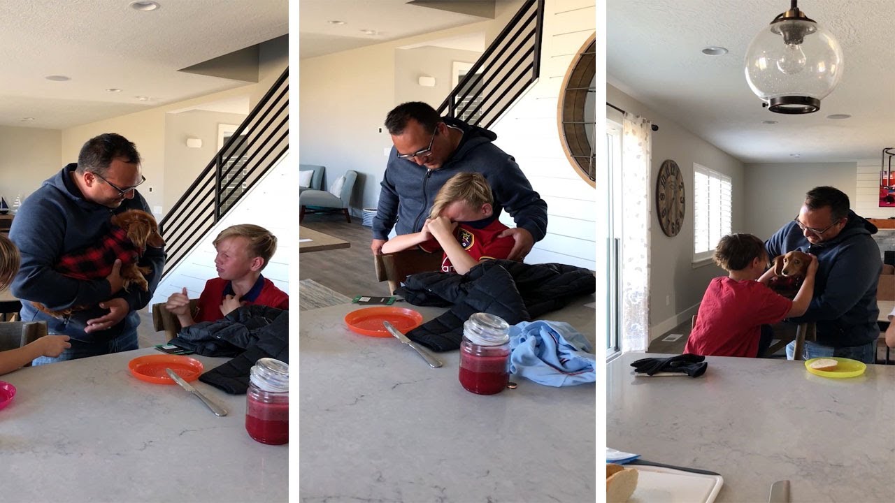 Family Surprised With Puppy After House Fire - YouTube