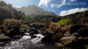 يوم تبيض وجوه وتسود وجوه القارئ مازن عنبول.صوت جمييييل 🌹💔