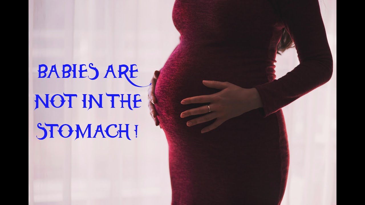 Babies are NOT in the STOMACH! YouTube