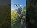what I see vs what the camera see's