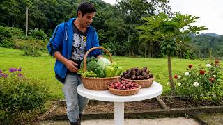 DIA DE COLHEITAS NA HORTA E PLANTAÇÕES NO SÍTIO. LIFESTYLE RURAL