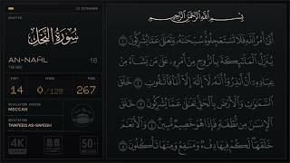Surah An-Nahl — النحل — Tawfeeq As-Sayegh — Quran Recitation 016