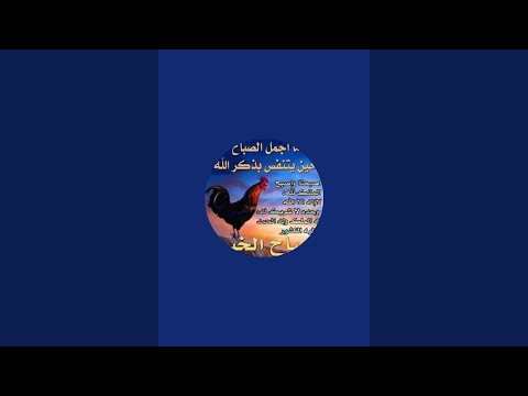 القلق لا يغير شيئا لكن الثقة بالله تغير كل شيء