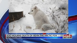 Arctic Fox dies at Great Plains Zoo