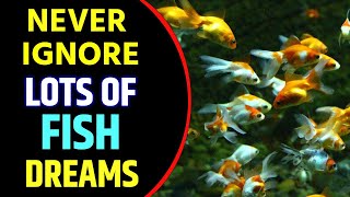 Apa Arti Mimpi Banyak Ikan | Bermimpi tentang Banyak Ikan | Tafsir Mimpi Banyak Ikan