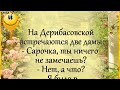 "На Дерибасовской встречаются две дамы..." Анекдоты! Одесский ЮМОР! Позитив для Вас!))