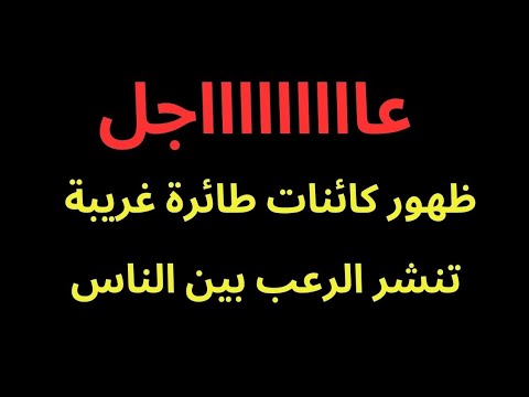 عاجل كائنات طائرة غريبة كبيرة تظهر وتفاجيء السكان
