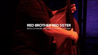 Red Brother Red Sister by Bruce Cockburn - Featuring Tom Wilson