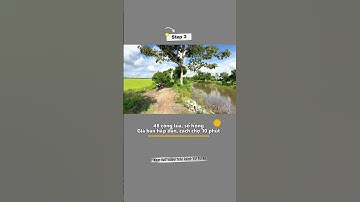 Đất lúa 03 vụ, 48 công xã Mỹ Đức #ivantung #datluagiare #bandatlua #xuhuong