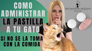 ¿TU GATO NO SE COME LA PASTILLA? | Encantadora de Gatos