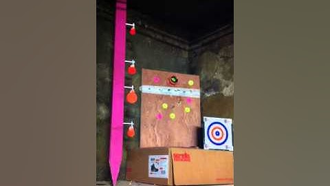 Air rifle targets Chalk spinner and firebird air flash