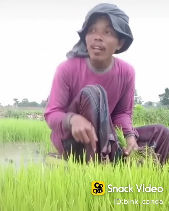 Lagu H. Ona sutra. Nurhalimah