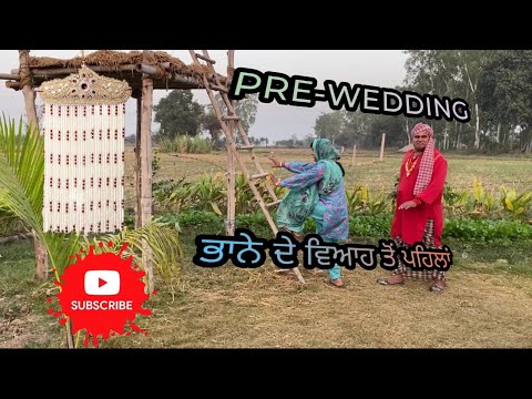 ভিডিও: ম্যাক্স ফন সিডো নেট ওয়ার্থ: উইকি, বিবাহিত, পরিবার, বিবাহ, বেতন, ভাইবোন