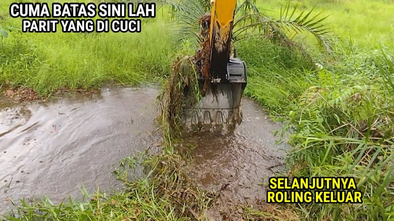 Paling malas kalau terhalang pohon karet waktu cuci parit 