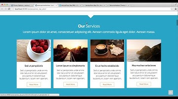 AccessPress Ray Pro - How to Import Demo, Theme Color, Webpage Layout and Upload Favicon | Tutorial