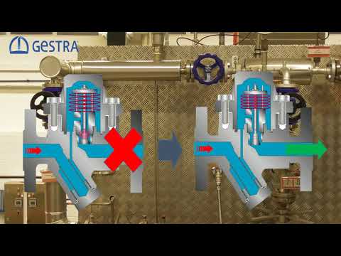 BK 45 Steam Trap - video from GESTRA