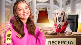 Pracuję W Hotelu Dla Psów