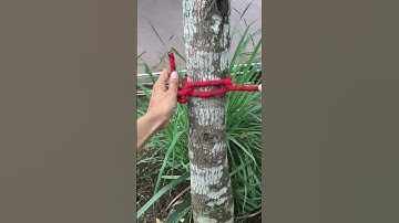 Incredible Loop Knot Tutorial #diy #survivalknots #knotskill