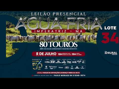 LOTE 34