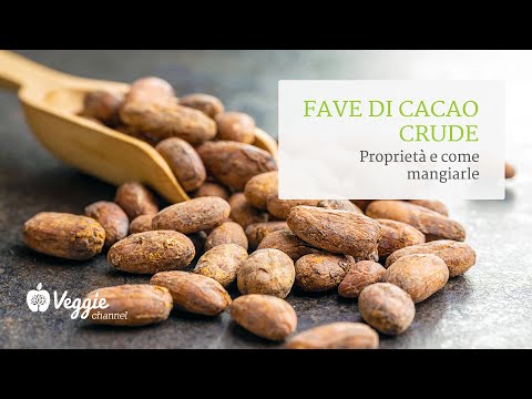 Video: Informazioni sulla pianta di cacao - Scopri come coltivare le fave di cacao