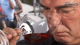 Chinchilla Aloque - Vinos de Málaga