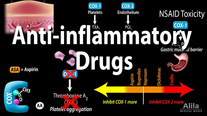 Anti-inflammatory (NSAIDs) Drugs, Pharmacology, Animation - DayDayNews