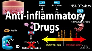 Anti-inflammatory (NSAIDs) Drugs, Pharmacology, Animation Resimi