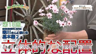 Lifestyle Culture Time Gardening For Beginners  Part 18