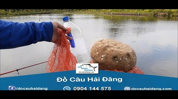 HƯỚNG DẪN NÉM THÍNH CÂU LỤC ĐẦU CẦN[Đồ Câu Hải Đăng ]