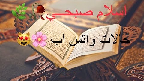 حالات واتس اب دينية// قرآن كريم♥️//اسلام صبحي🥀🌸// ستوريات انستا😻🌿