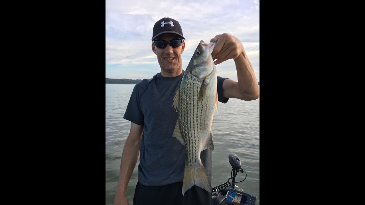 Bink's Pro Series Spoon Wiper - Brad - 9/20/16