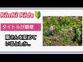 【KinKi Kids堂本光一・剛さん】こんなタイトル許せない!!️