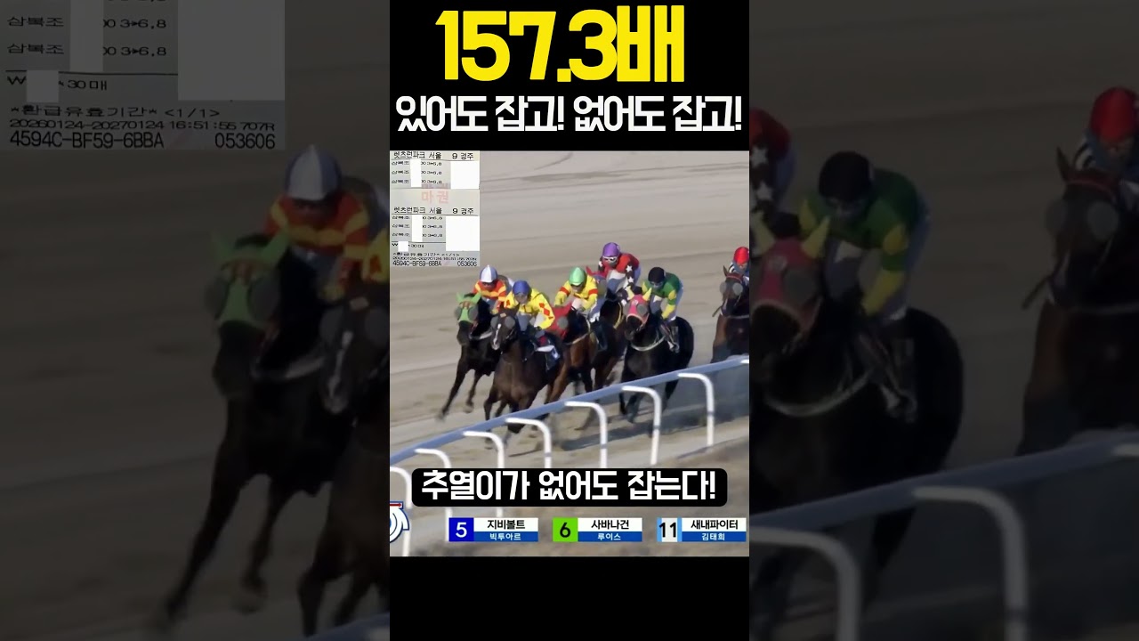157.3배 노빠꾸의 미친적중은 있어도 잡고 없어도 잡는다! | 260124(토)서울9 | #경마 #경마재택크 #경마적중 #shorts #KoreaHorseRacing #쇼츠