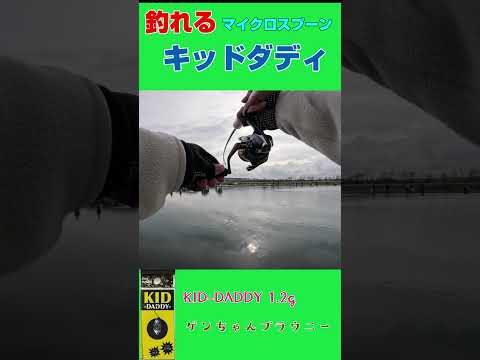 【キッドダディ】やっぱり釣れる！マイクロスプーンでニジマスGET！