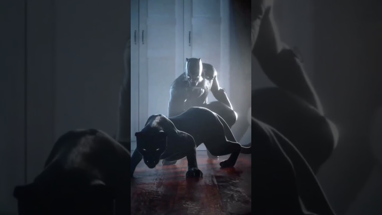 NS 200 and Black panther 😡 