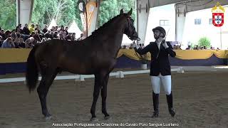 240126 5 Querubi Sp - Aprovação De Reprodutores