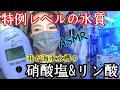 【海水魚水槽】驚愕の結果…特例レベルの硝酸塩、リン酸の実態❗️hanna水質検査をasmrで✨my coral aquarium MOAMOAちゃんねる