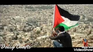 صور مدن فلسطين الحقيقية التي لا ترونها في الإعلام