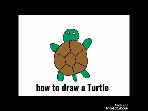 Turtle simple drawing ideas for kids step by step - YouTube
