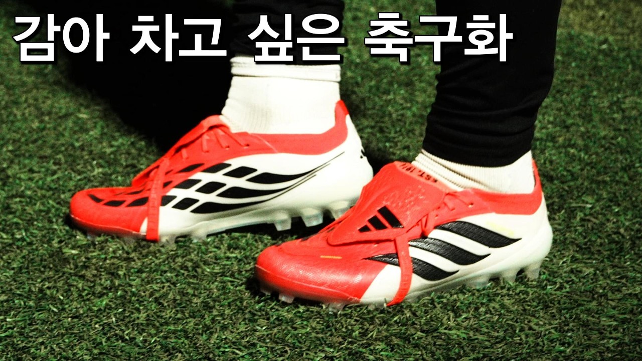 [축구심동 축구화 리뷰] 아디다스 프레데터 26 엘리트 2G/3G AG