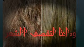 وصفة هايلة للشعر الجاف والمتقصف النتيجة روعة ??