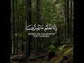 أجمل حالات واتس اب قرآن كريم بدون حقوق بصوت محمد هشام صوت خاشع يريح القلب