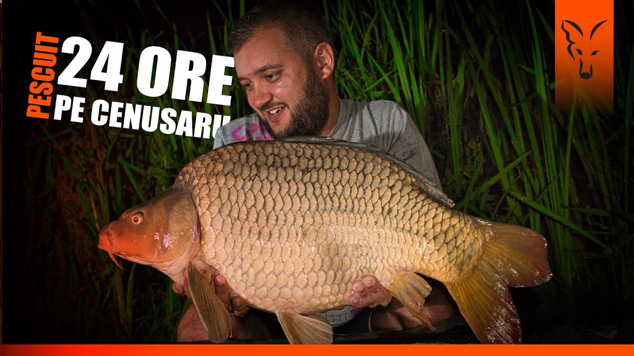 Abordare partida de pescuit la crap de 24 h - Balta Cenusaru