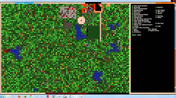 Dwarf Fortress Part 9; DFHack