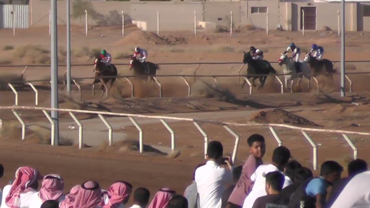 سلام العلم الحفل الأول الشوط الثاني موسم 1447هـ