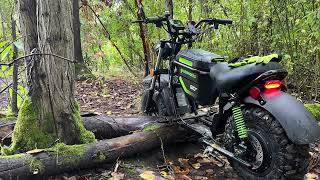 Greenworks Stealth Minibike- Poaching Urban Dirt and Avoiding All Humans